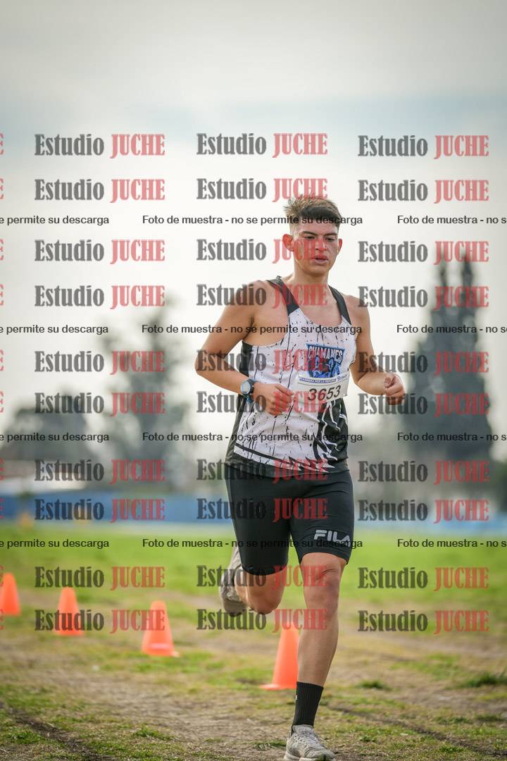 Fotos de la llegada del cross de 8000 m