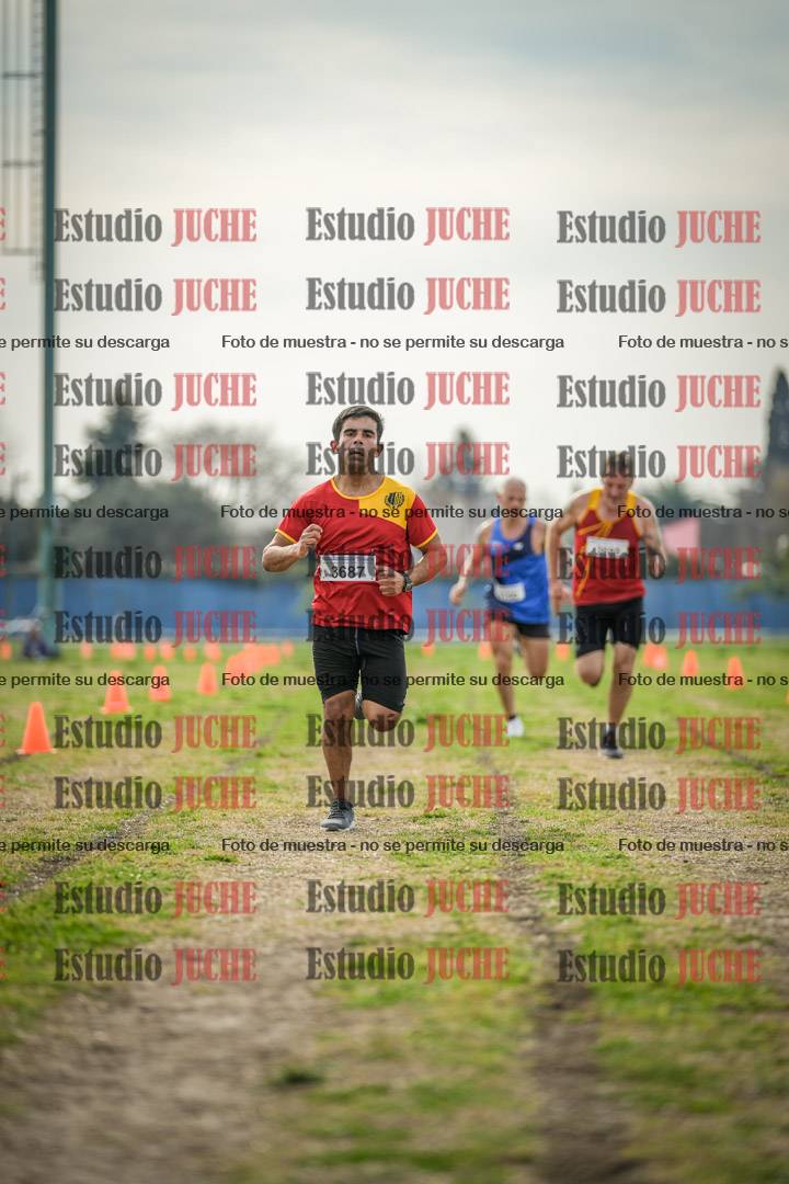 Fotos de la llegada del cross de 8000 m