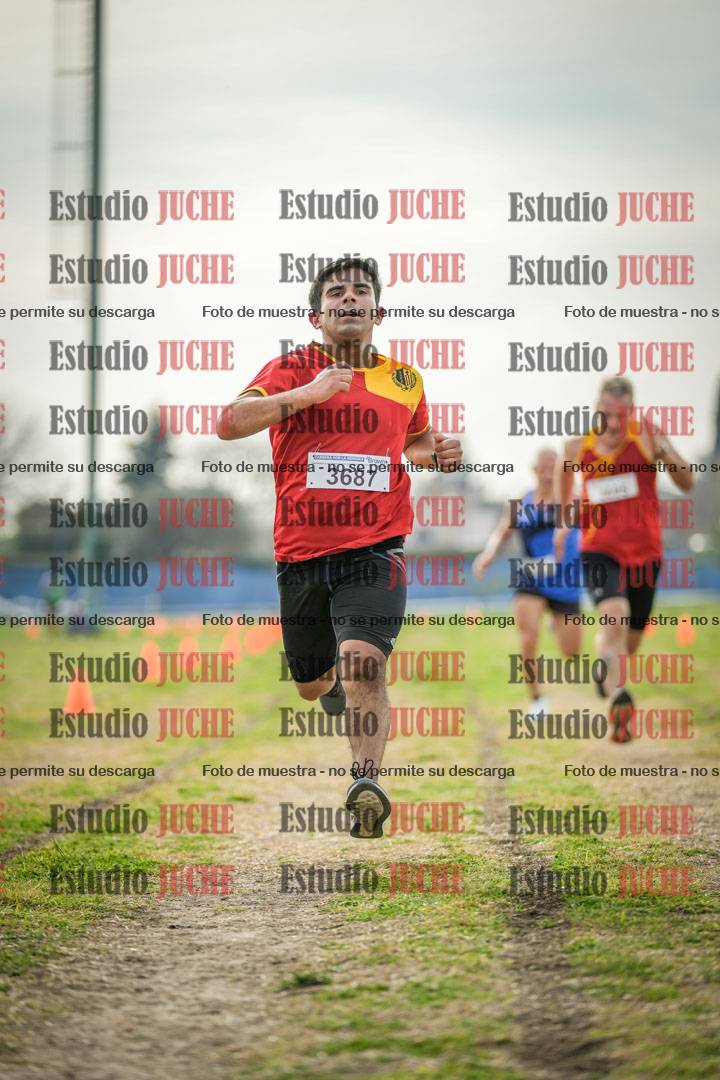 Fotos de la llegada del cross de 8000 m