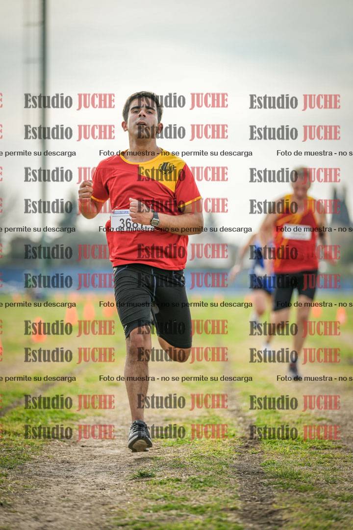 Fotos de la llegada del cross de 8000 m