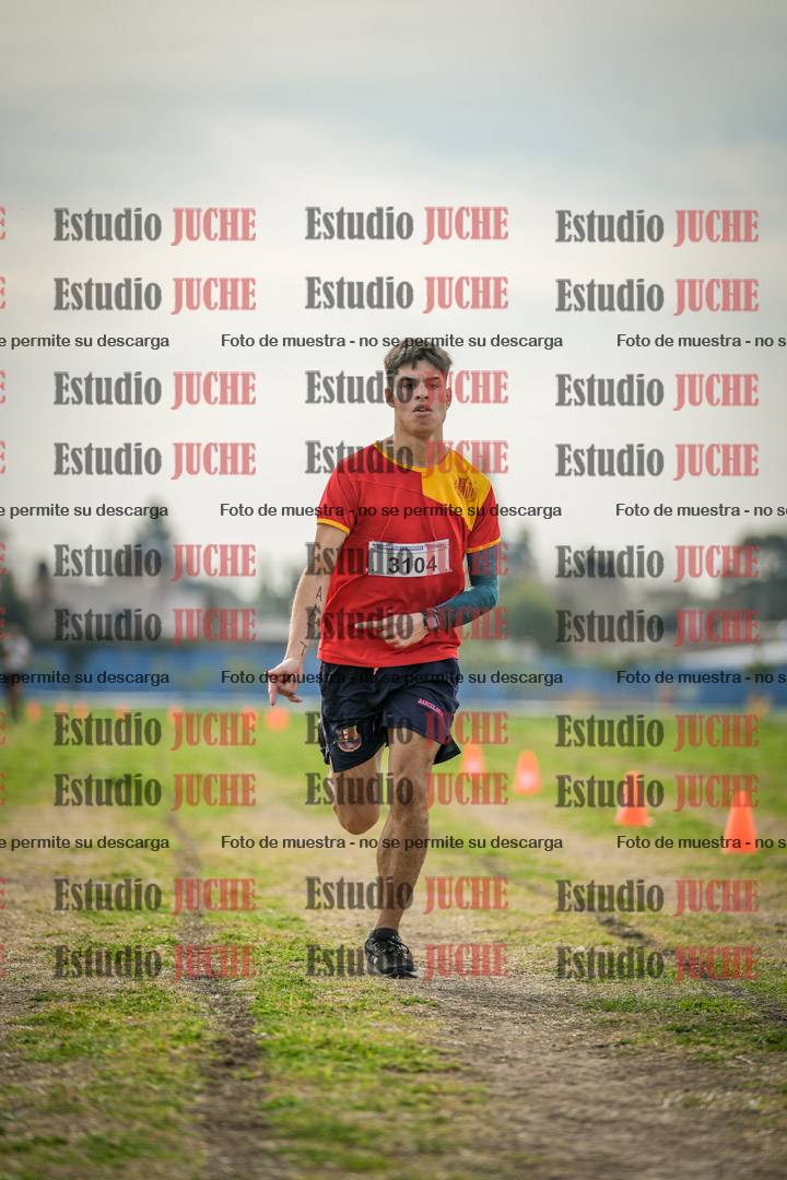 Fotos de la llegada del cross de 8000 m