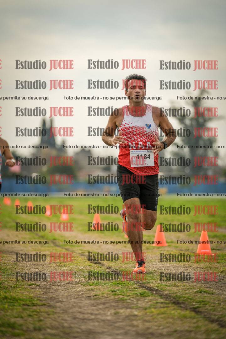 Fotos de la llegada del cross de 8000 m