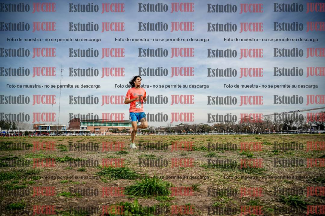 Fotos en el tercer punto del circuito