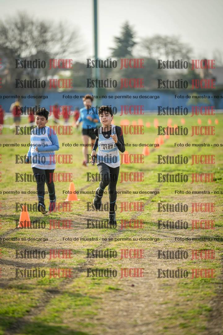 Fotos de la llegada de las postas 4 x 1000 m mixtas