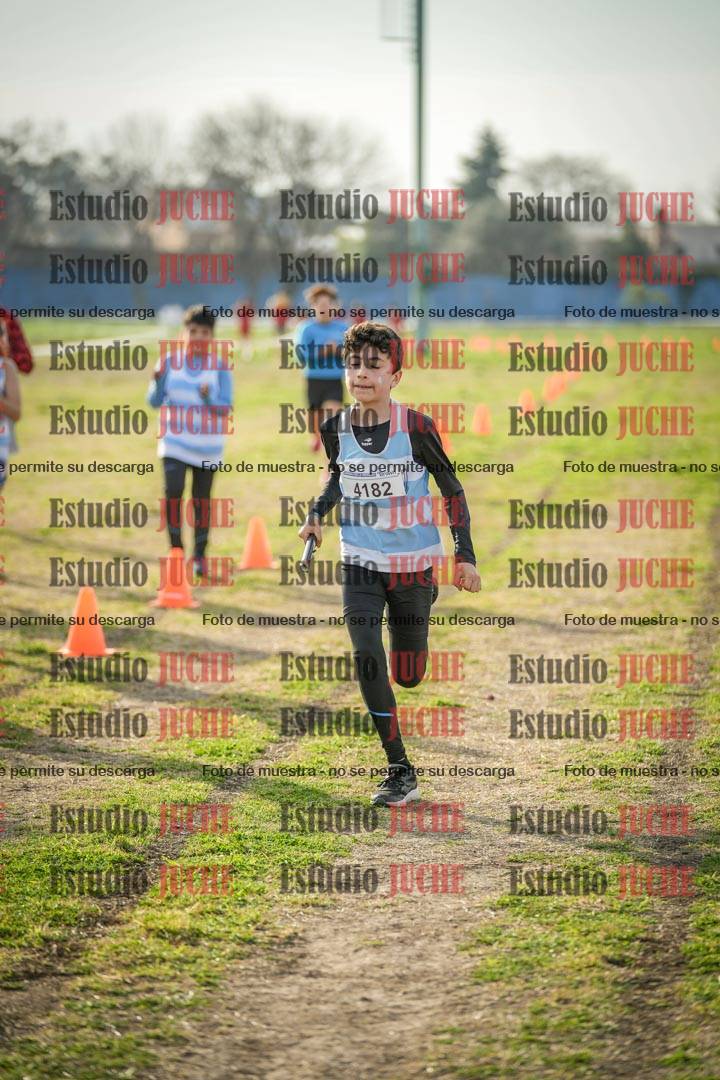 Fotos de la llegada de las postas 4 x 1000 m mixtas