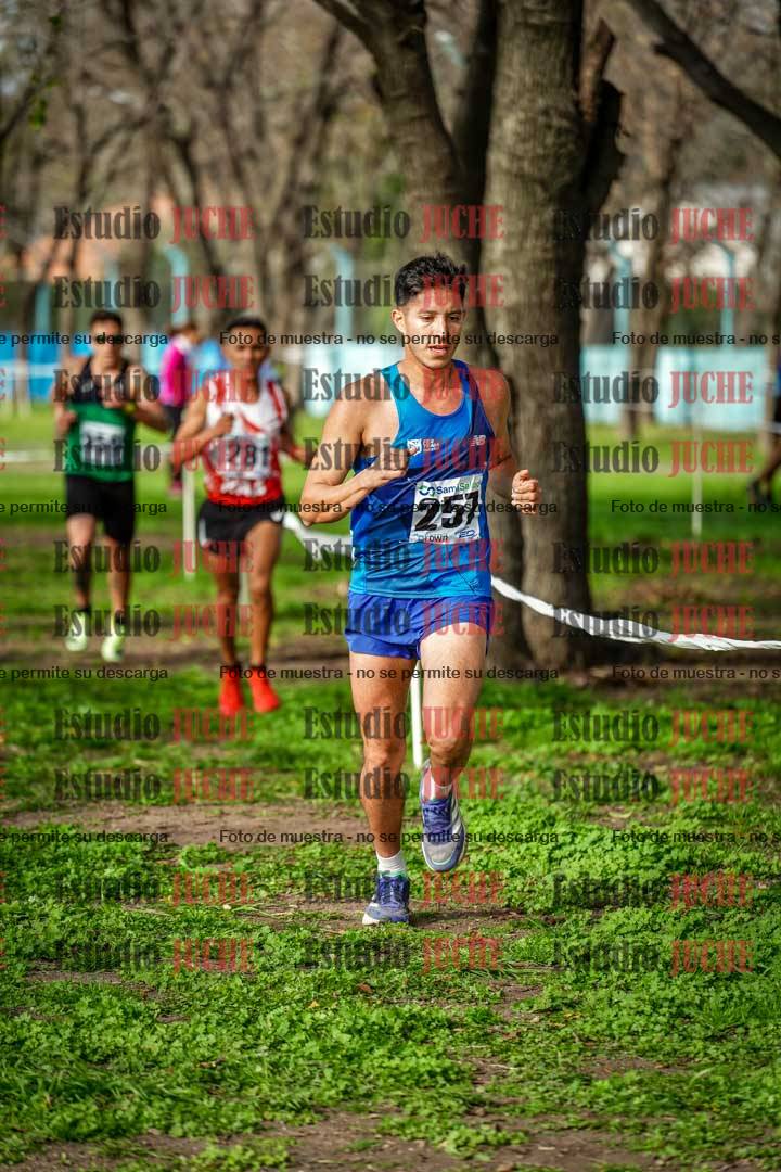 Fotos en el sexto punto del circuito