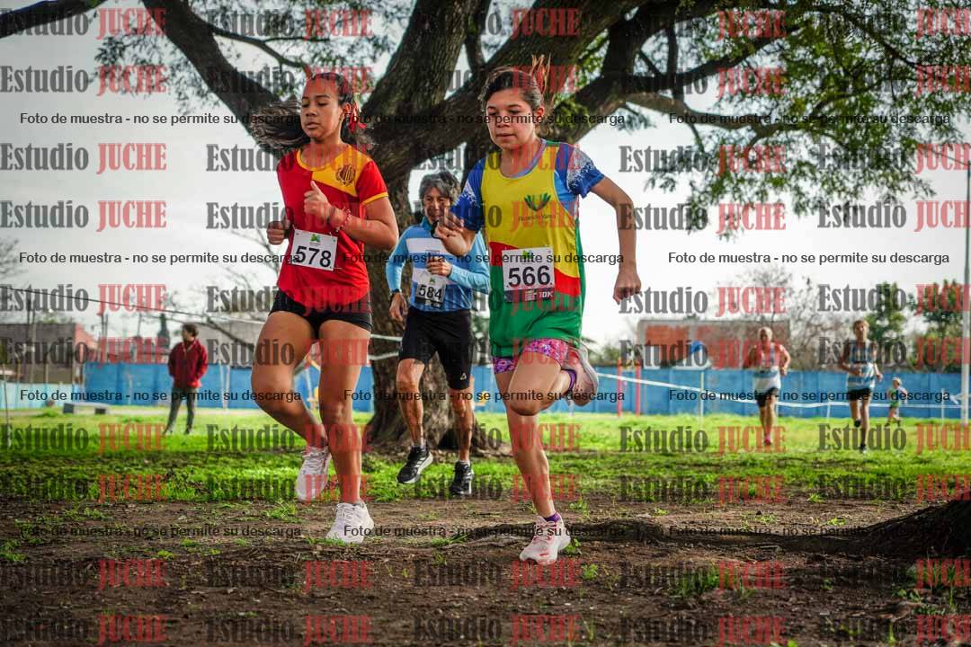 Fotos en el segundo punto del circuito