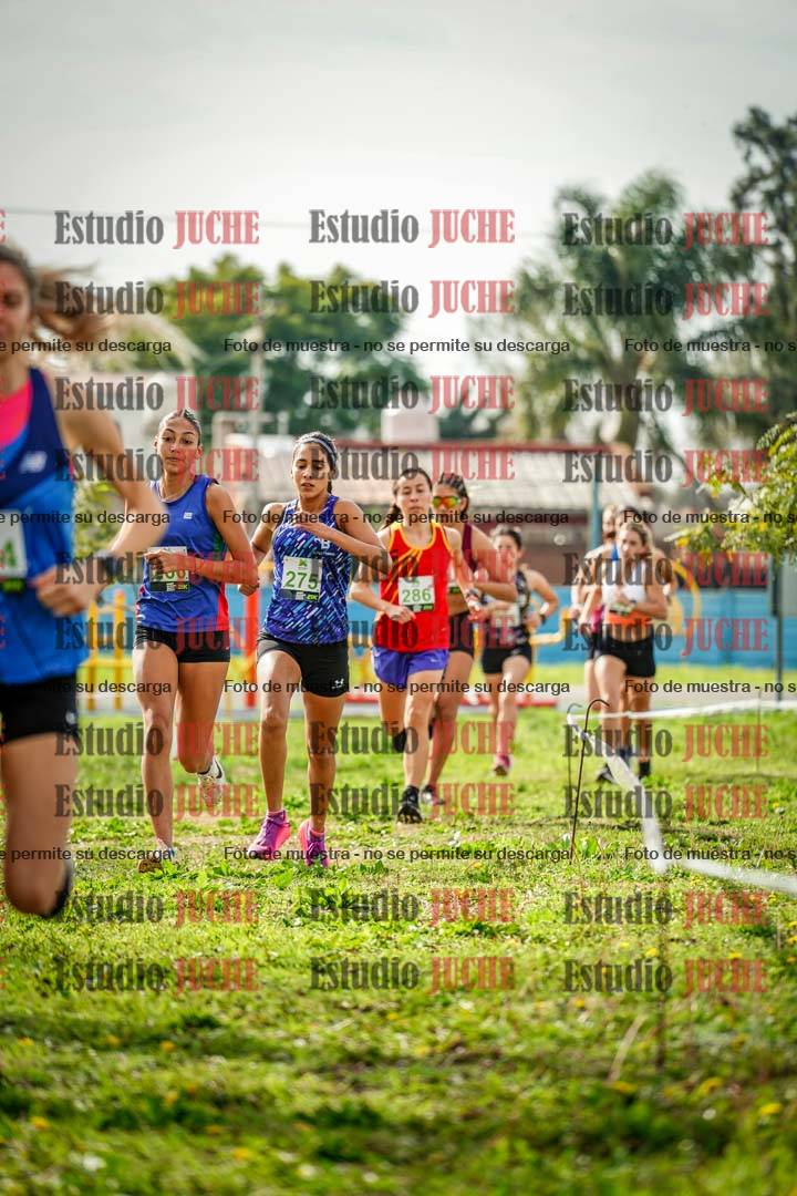 Fotos en el primer punto del circuito