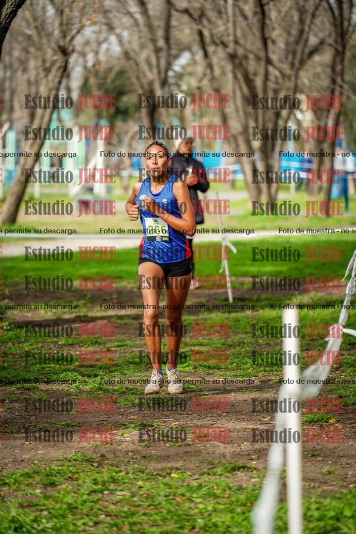 Fotos en el sexto punto del circuito