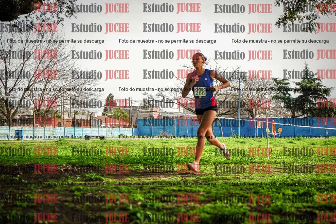Fotos en el sexto punto del circuito