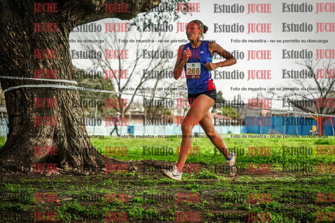 Fotos en el sexto punto del circuito