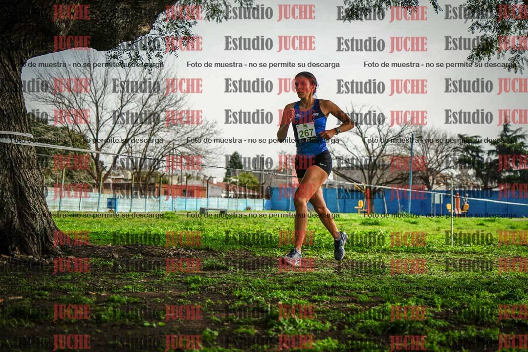 Fotos en el sexto punto del circuito