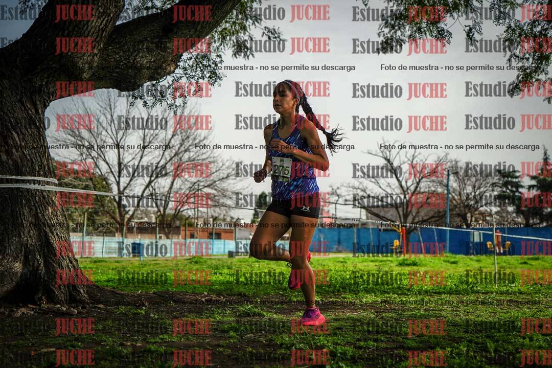 Fotos en el sexto punto del circuito