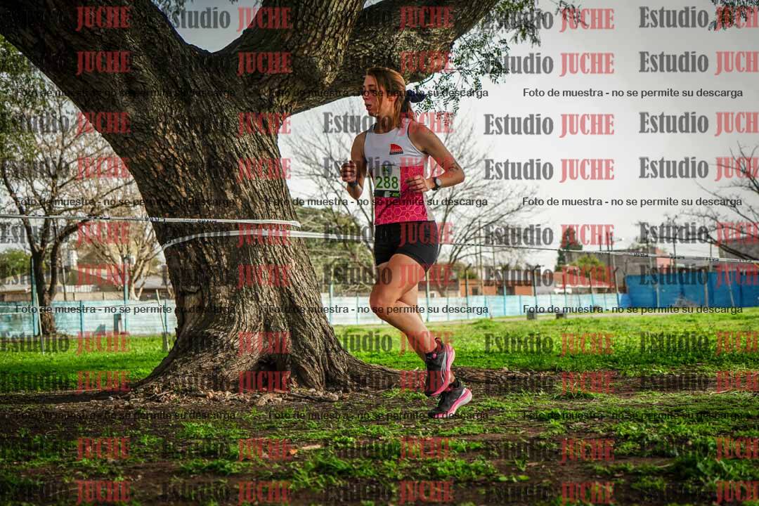Fotos en el sexto punto del circuito