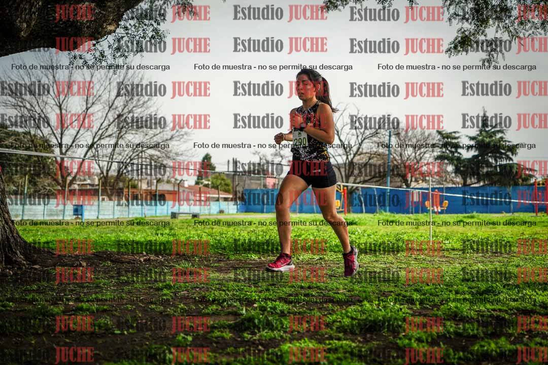 Fotos en el sexto punto del circuito