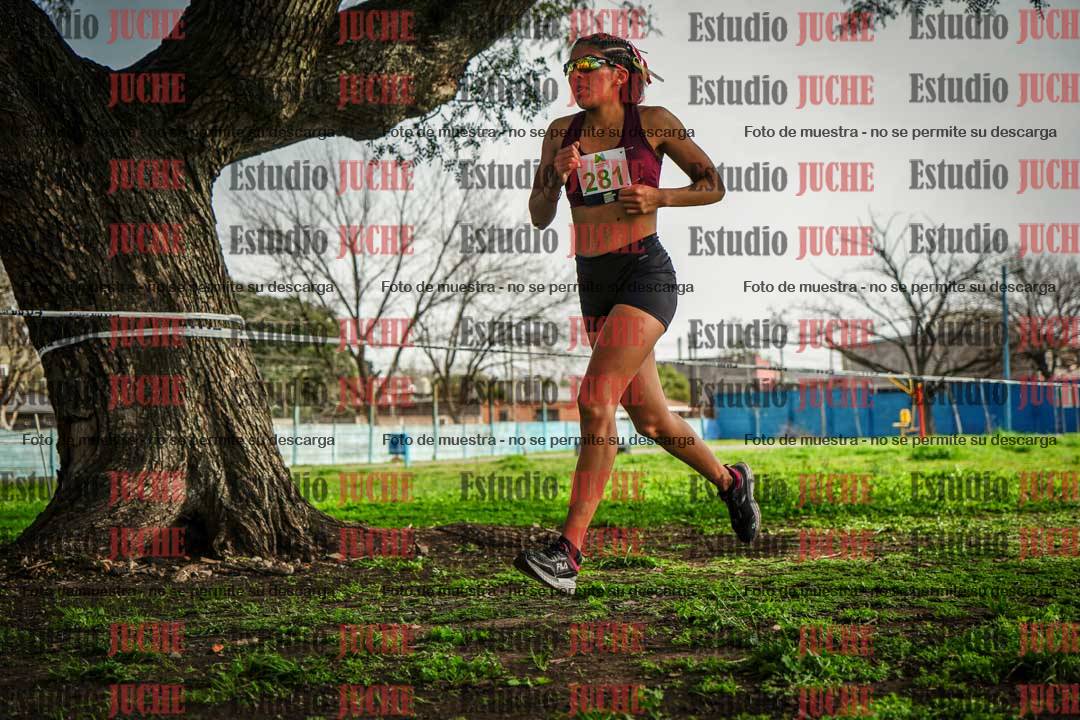 Fotos en el sexto punto del circuito