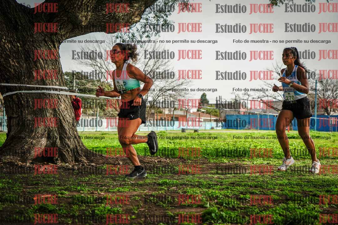 Fotos en el sexto punto del circuito