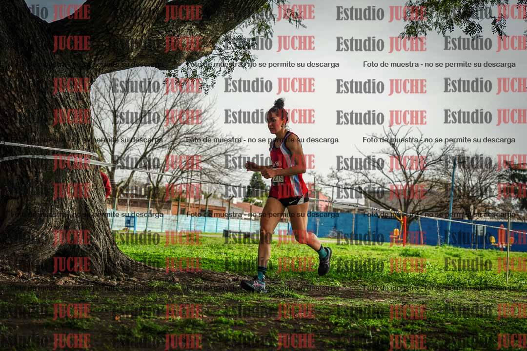 Fotos en el sexto punto del circuito