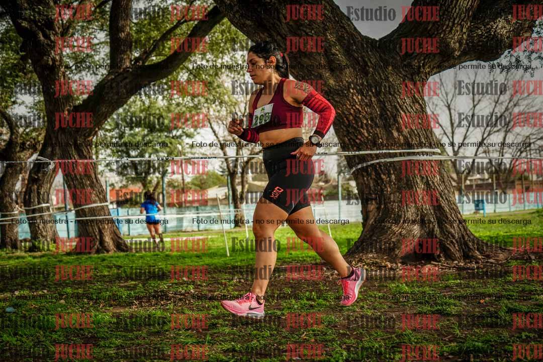 Fotos en el sexto punto del circuito