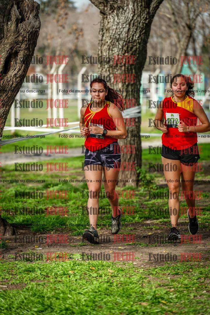 Fotos en el sexto punto del circuito