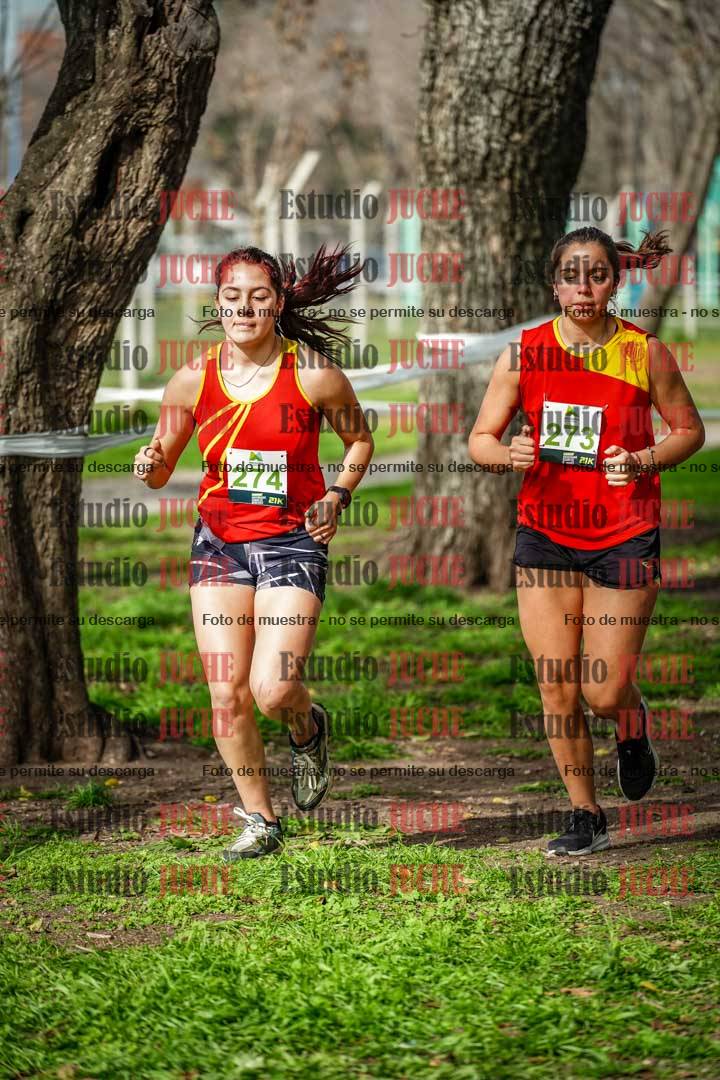 Fotos en el sexto punto del circuito
