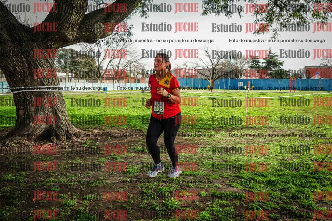 Fotos en el sexto punto del circuito