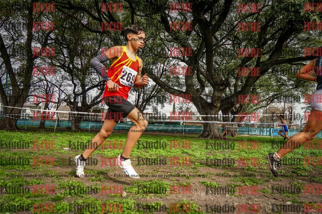 Fotos en el cuarto punto del circuito