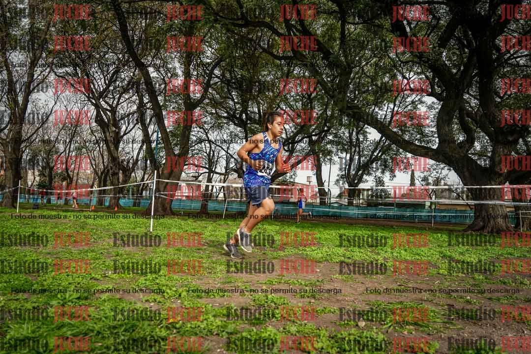 Fotos en el cuarto punto del circuito