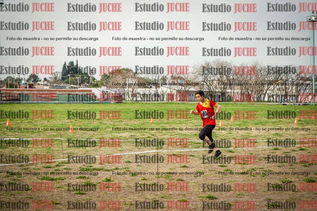 Fotos en el sexto punto del circuito