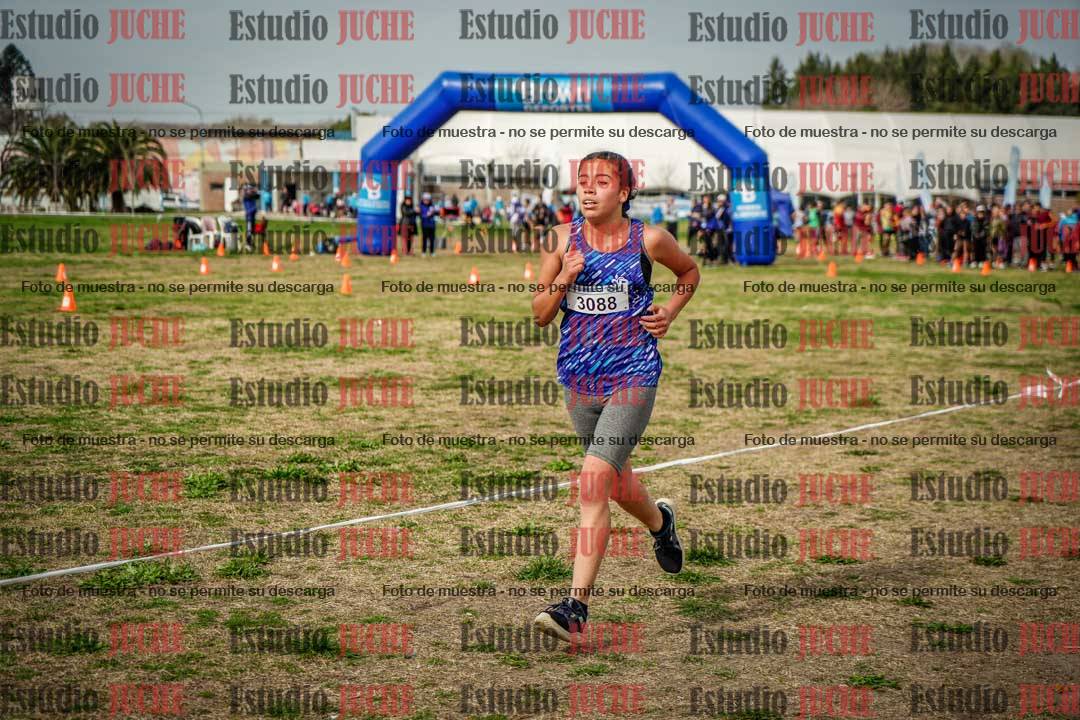 Fotos en el sexto punto del circuito