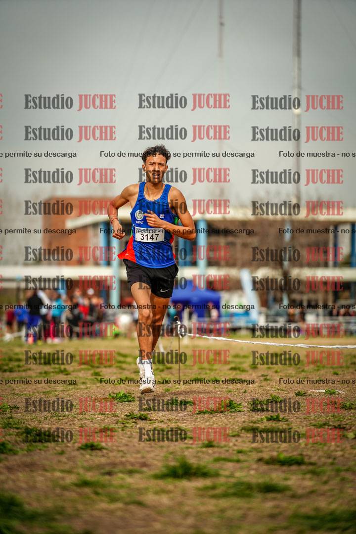 Fotos en el sexto punto del circuito