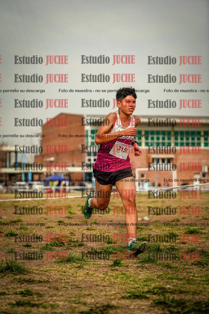 Fotos en el sexto punto del circuito