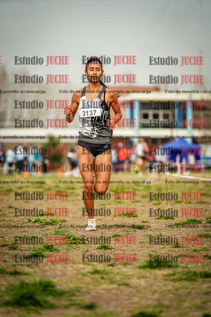 Fotos en el sexto punto del circuito