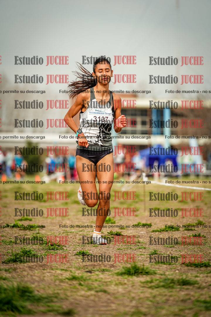 Fotos en el sexto punto del circuito