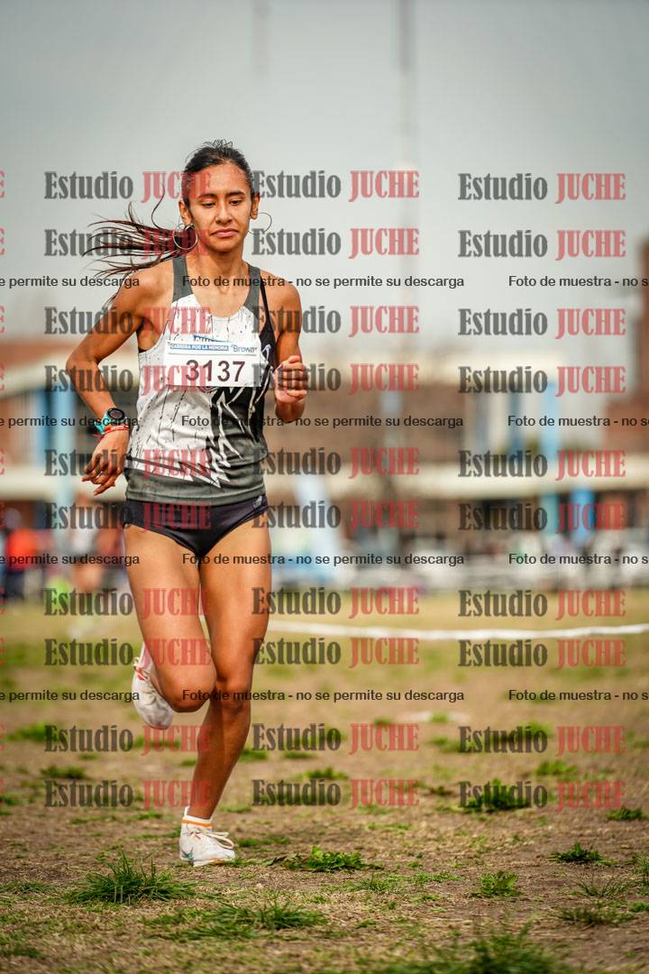 Fotos en el sexto punto del circuito