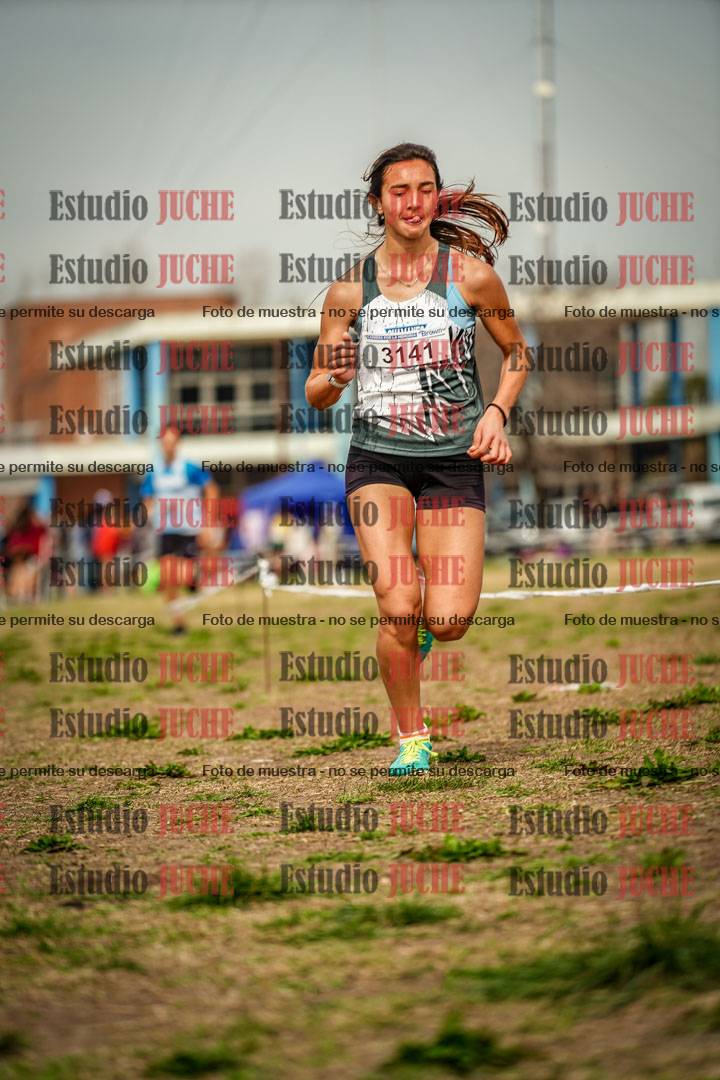 Fotos en el sexto punto del circuito