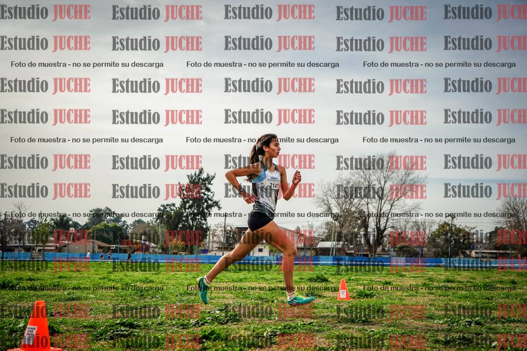 Fotos en el sexto punto del circuito
