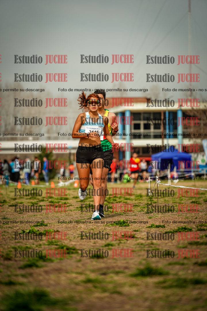 Fotos en el sexto punto del circuito