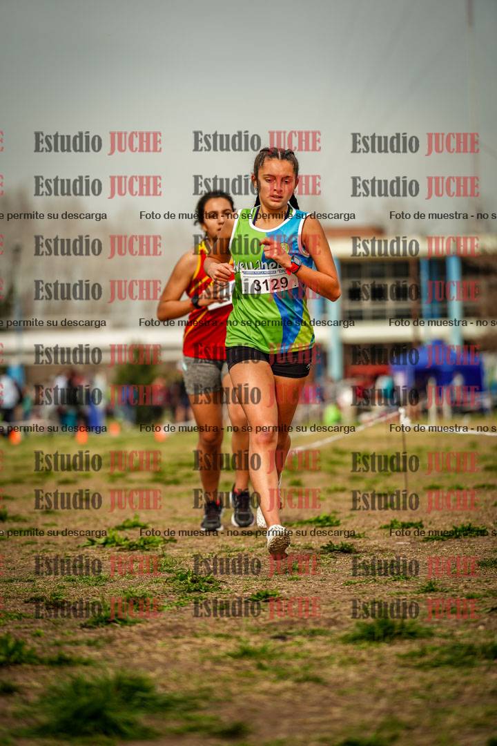 Fotos en el sexto punto del circuito