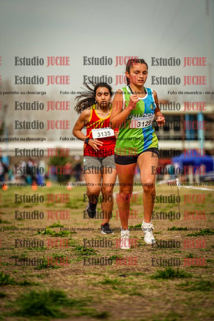 Fotos en el sexto punto del circuito