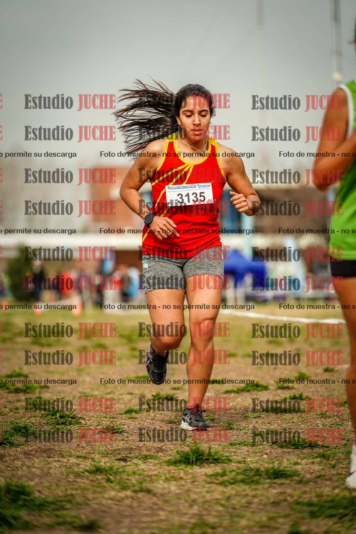 Fotos en el sexto punto del circuito