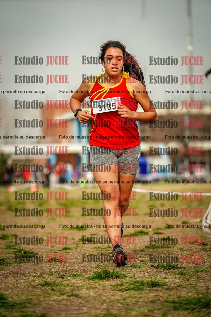Fotos en el sexto punto del circuito