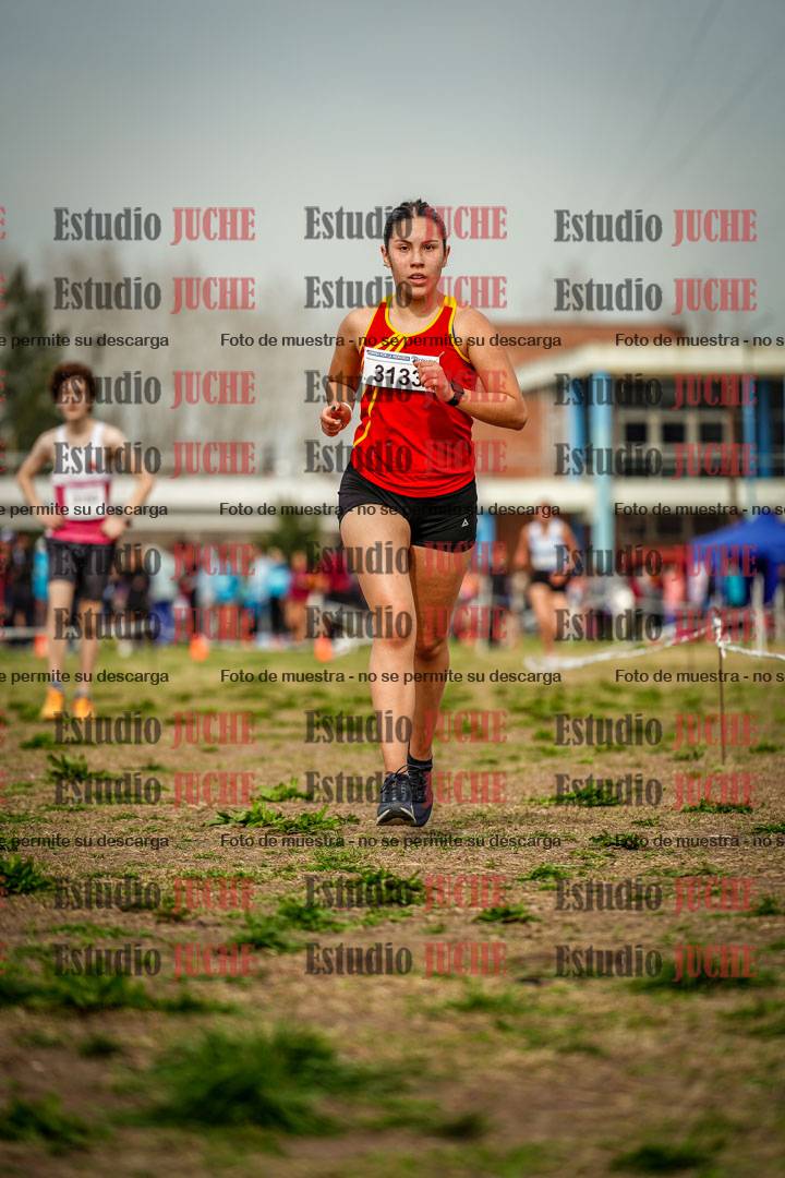 Fotos en el sexto punto del circuito