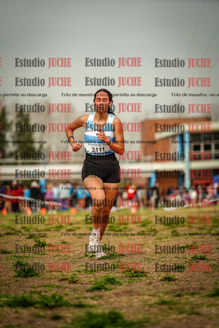 Fotos en el sexto punto del circuito