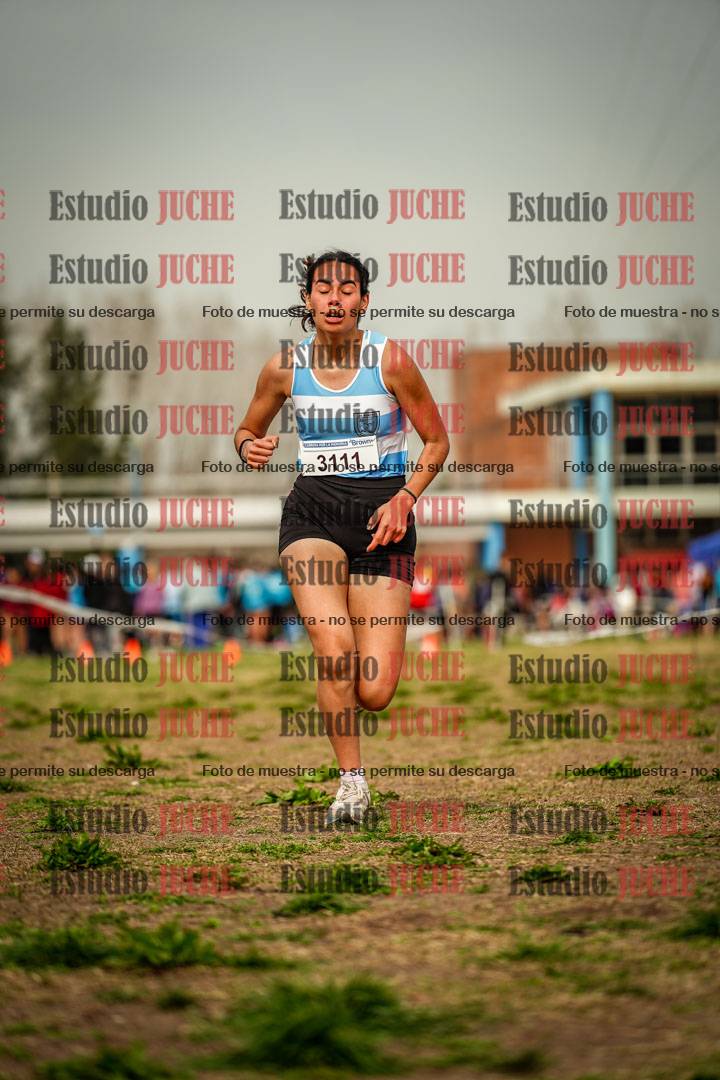 Fotos en el sexto punto del circuito
