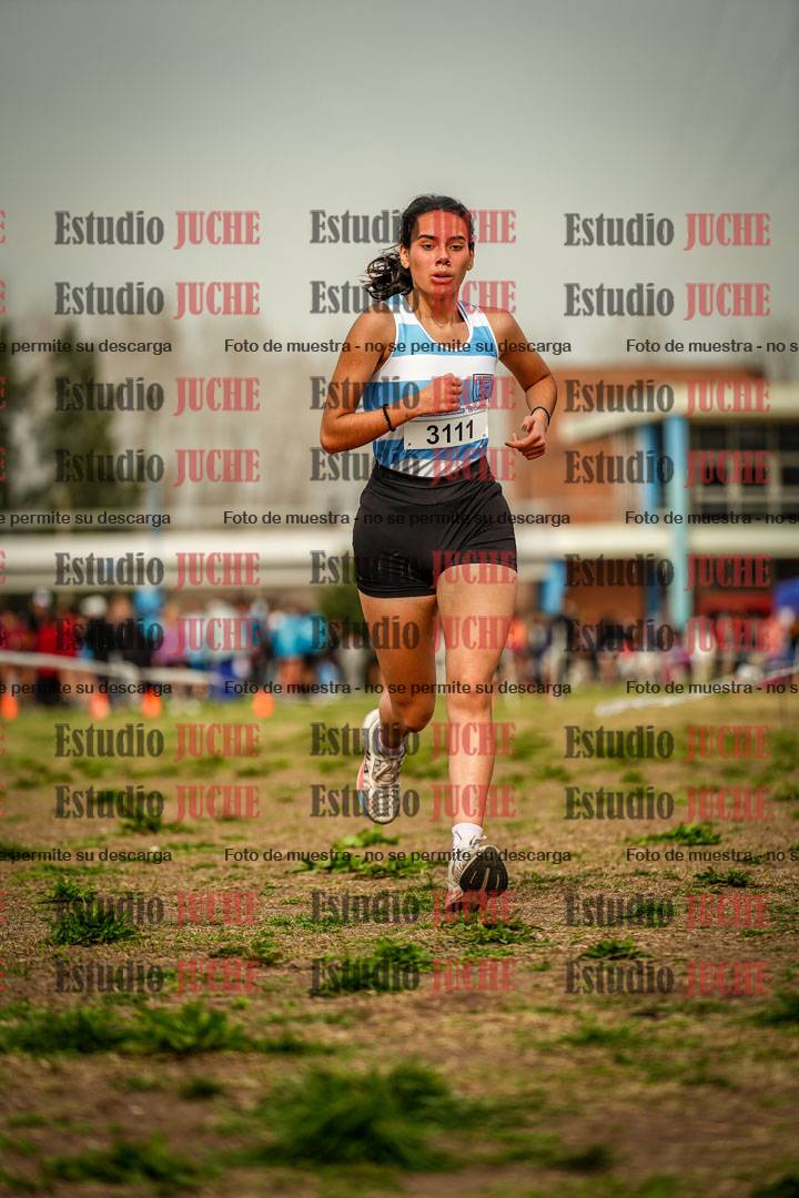Fotos en el sexto punto del circuito