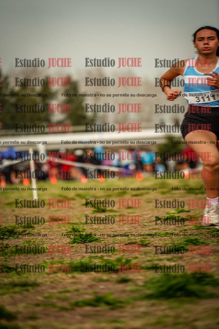 Fotos en el sexto punto del circuito