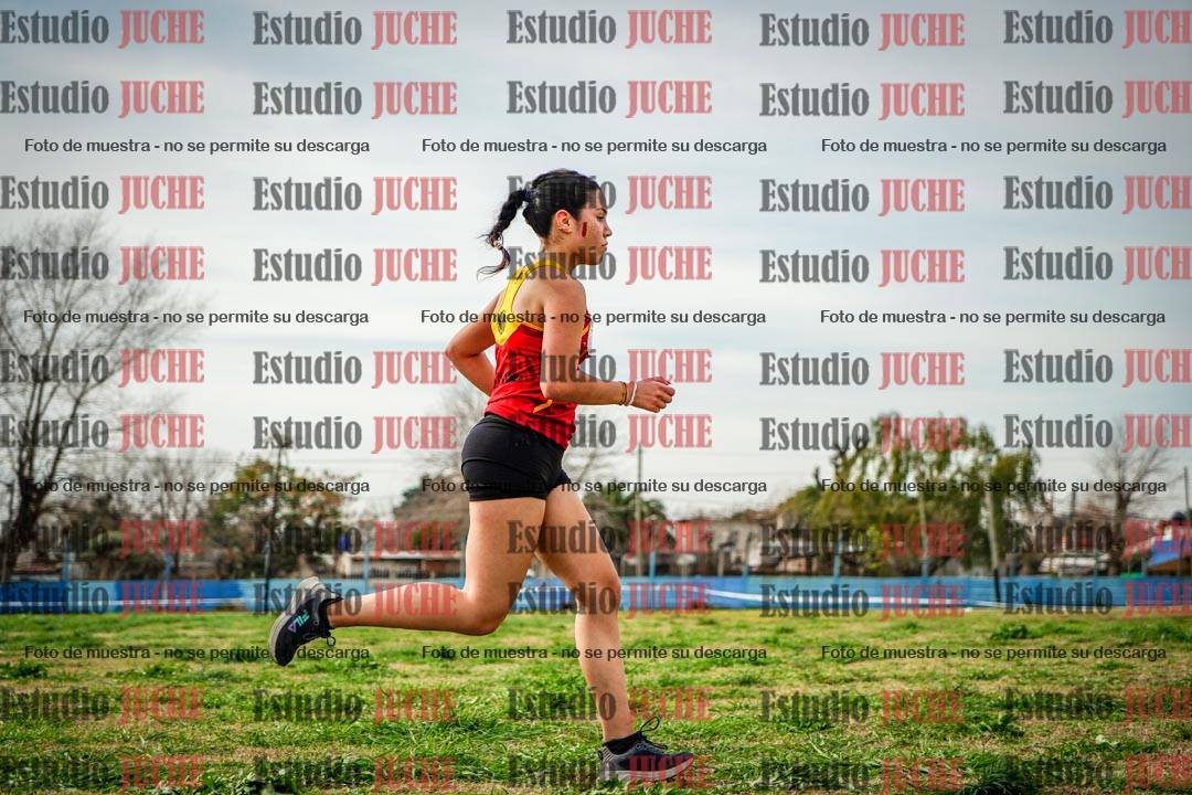 Fotos en el sexto punto del circuito