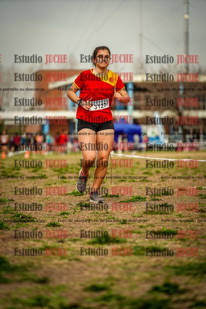 Fotos en el sexto punto del circuito