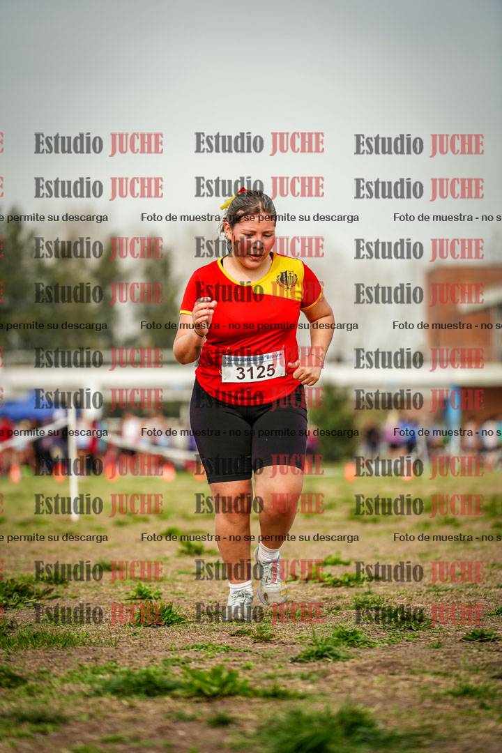 Fotos en el sexto punto del circuito